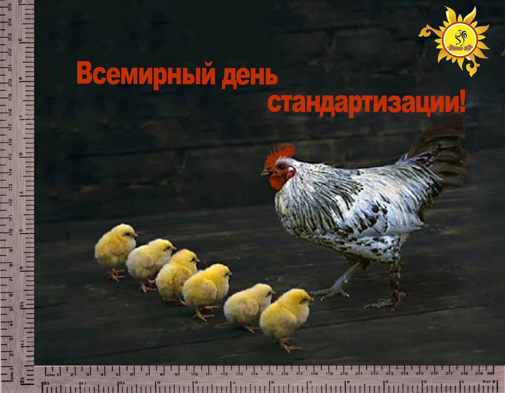 день качества картинки поздравления